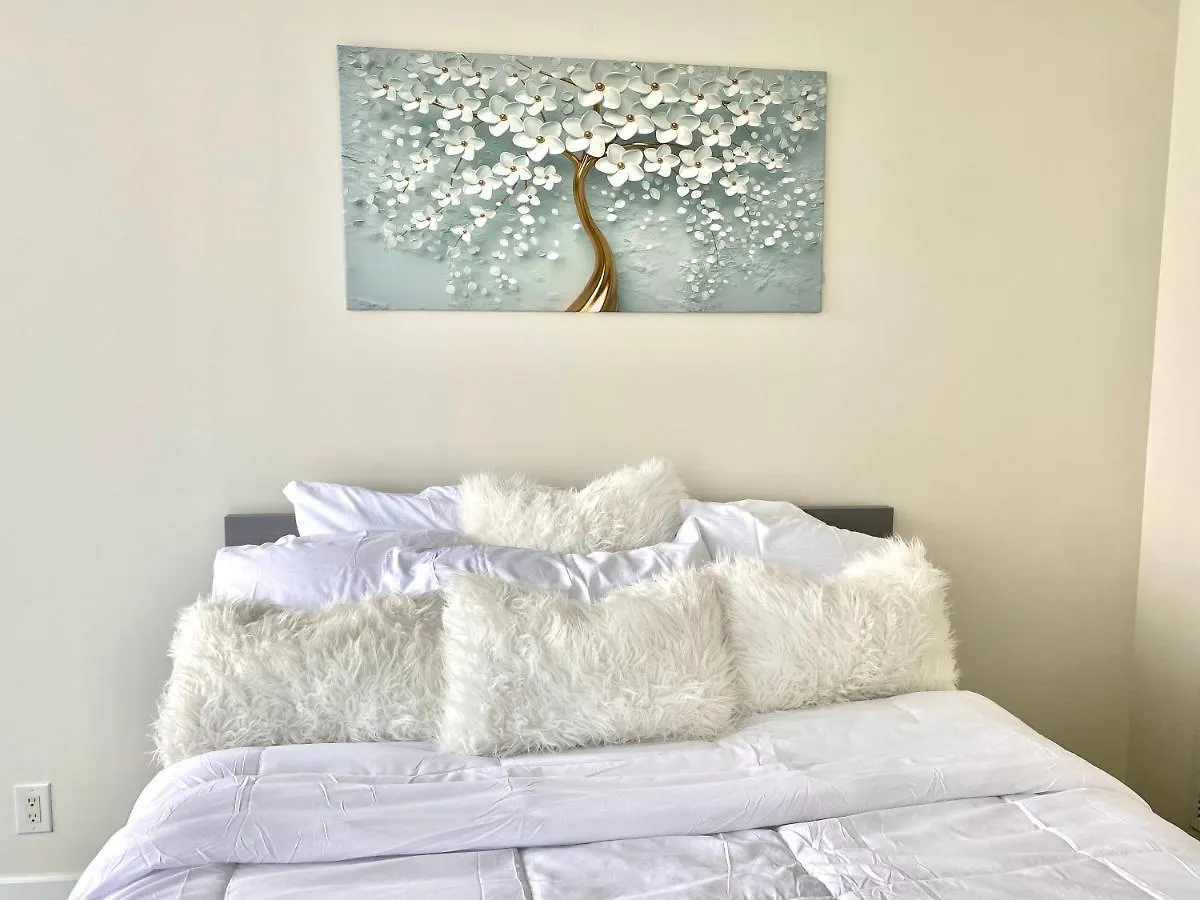 Apartment Cozy 2 Bedroom Free Parking Downtown Toronto 1Min Scotiabank Arena Tff Cn Tower Rogers Centre Union Station